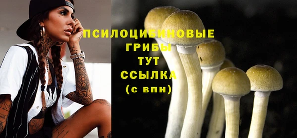 стафф Балабаново