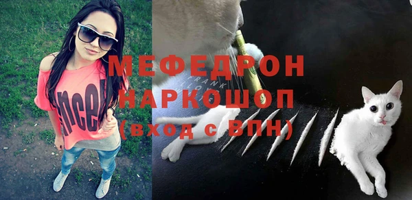 прущие грибы Елизово