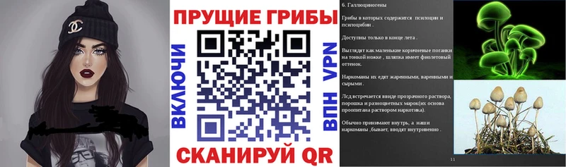 Галлюциногенные грибы Cubensis Вяземский