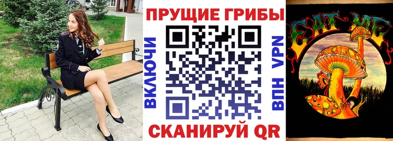 shop какой сайт  Вяземский  Псилоцибиновые грибы мицелий 